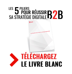 Réussir sa stratégie Digitale B2B