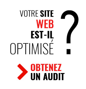 audit site Web